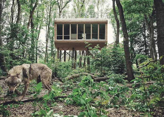 Tree - Baumhaushotel Doerverden