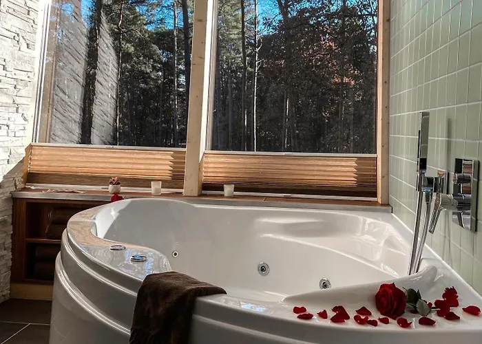 Tree - Baumhaushotel Hotel