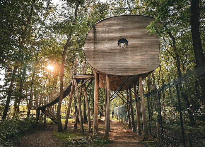 Tree - Baumhaushotel Hotel 4*