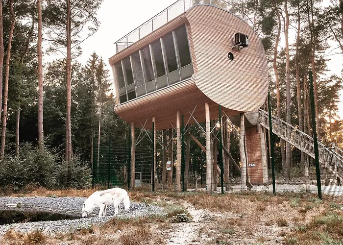 Tree - Baumhaushotel Hotel