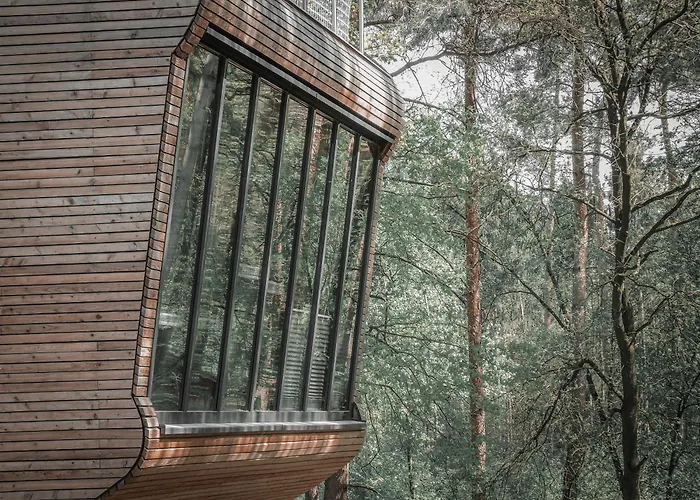 Tree - Baumhaushotel 4*